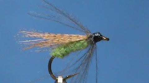 Fly Tying for Beginners a Wood Duck Caddis with Jim Misiura