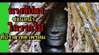 ปราสาทตาพรหม,เสียมเรียบ,กัมพูชา,Siem Reap,Cambodia,เที่ยวเขมร ,Ta Prohm Temple,ปราสาทที่มีต้นไม้ใหญ่