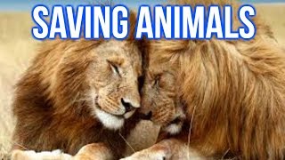 Near Death! Epic Animal Rescues!