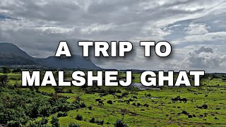 A road trip to Malshej Ghat with Family #roadtrip #malshejghat