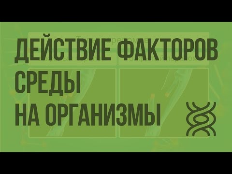 Закономерности действия факторов среды на организмы. Видеоурок по биологии 9 класс