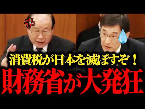 【国会中継】※嘘をつくな！何としてでも減税したくない財務官僚達が完全に論破されました【消費税/自民党/高市早苗//片山さつき/参政党】