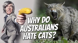 Why do Australians HATE CATS?