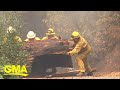 Dangerous Wildfires Reach New Milestone 1 Million Acres Burned GMA 