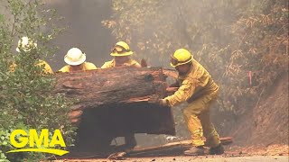 Dangerous wildfires reach new milestone: 1 million acres burned | GMA