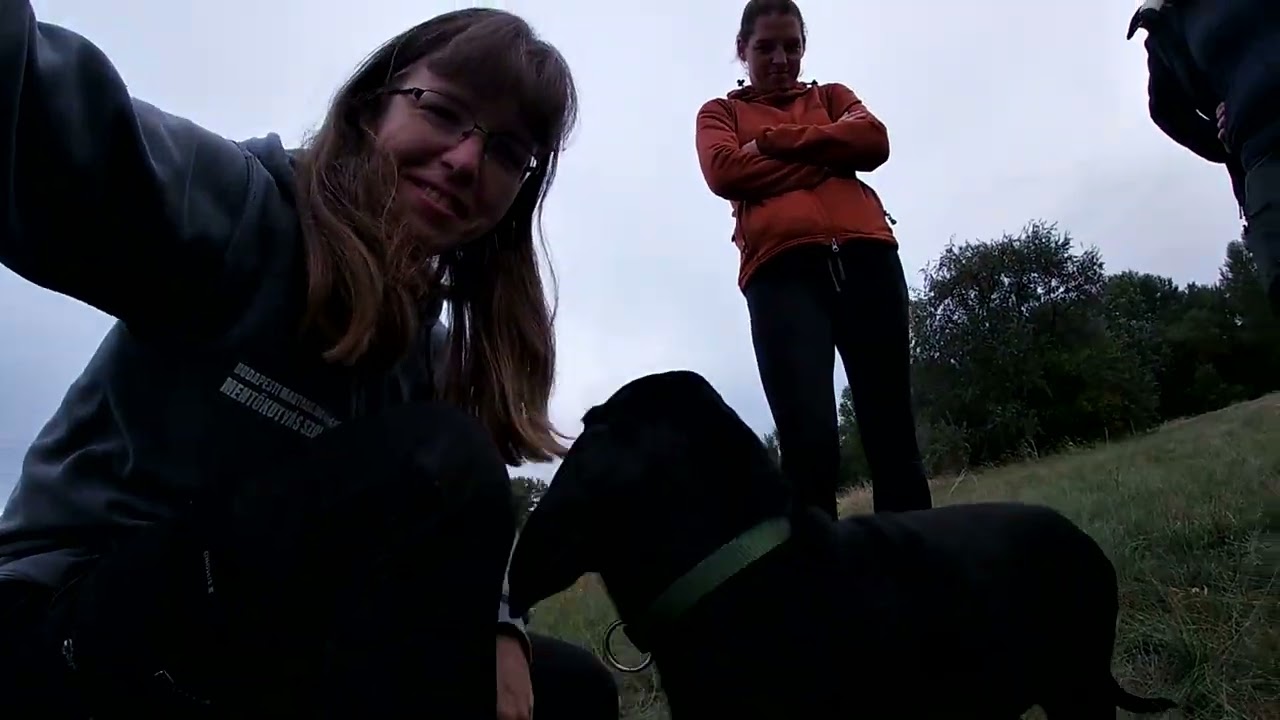 Mantrailing - 10 weeks old coonhound puppy