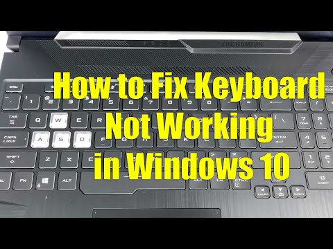 Why is keyboard not working in Windows 10? How To Fix?