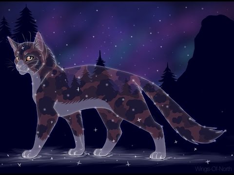 Top Fifteen Most Beautiful Warrior Cat 