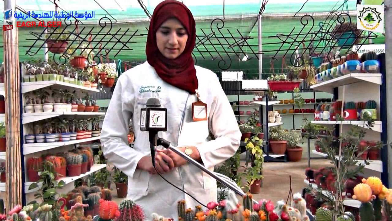 المؤسسة الجهوية للهندسة الريفية أوراس 