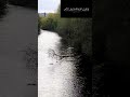سورة الجمعة،آيات لتفكر وتدبر من سورة الجمعة,#shorts