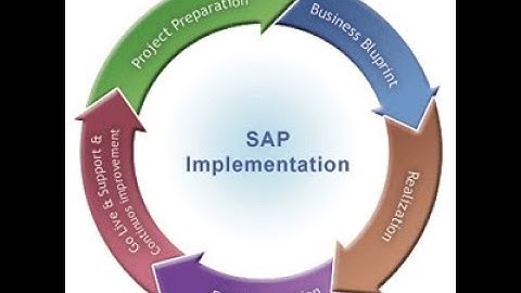 (2) TYPES OF SAP FICO PROJECTS FULL COURSE 2025 @ravireddye-learning