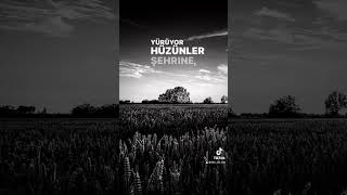 Bendeniz Gönül Yareler Içinde