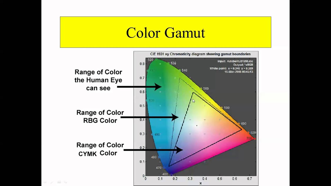 Color Theory