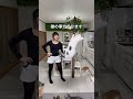 猫じゃらしのプロ。私はみゆ。