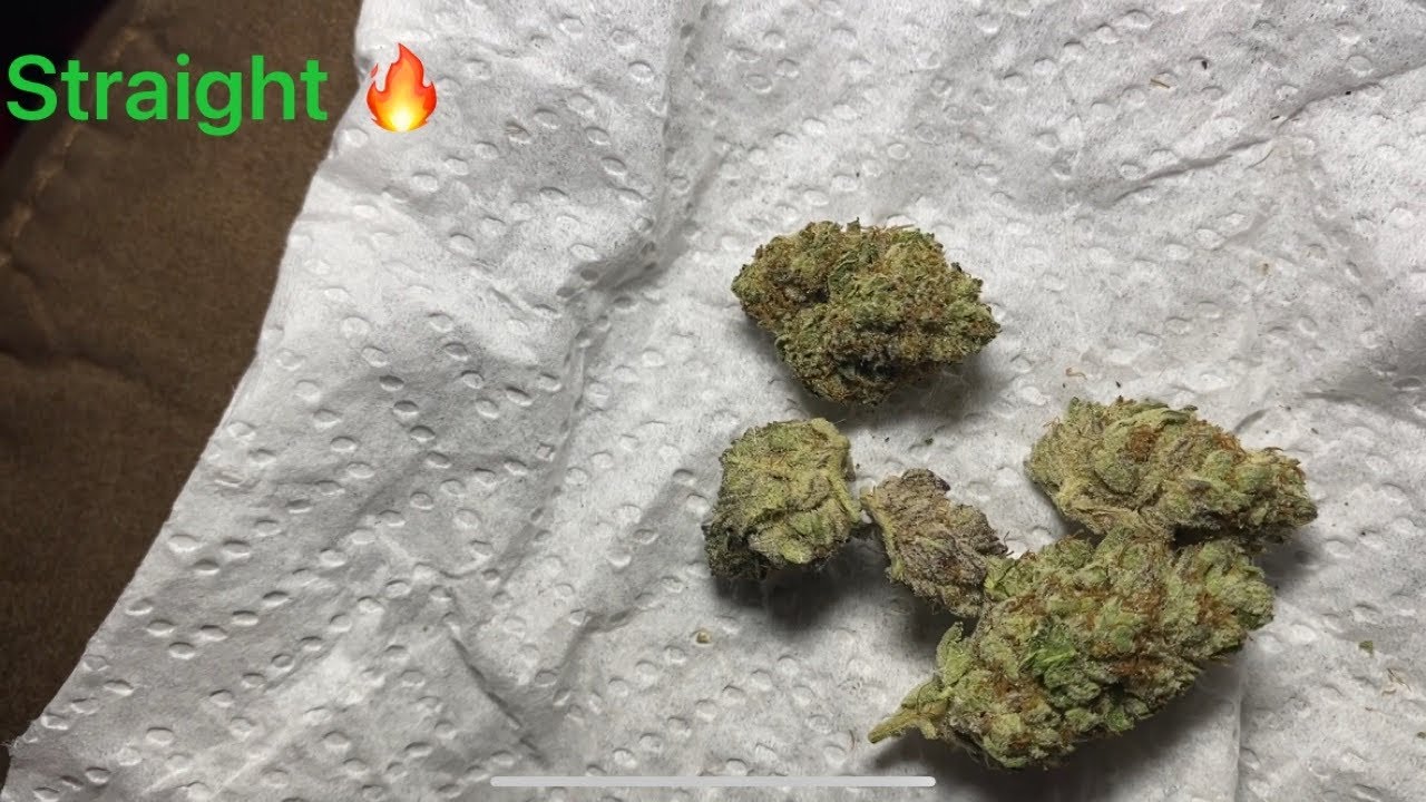 Surprise Review GF Hookup on Some Cherry Slush(Indica)