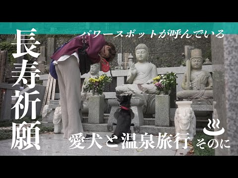 愛犬と長寿祈願 in 西伊豆(温泉旅行 後編)👽スキッパーキのマーフ