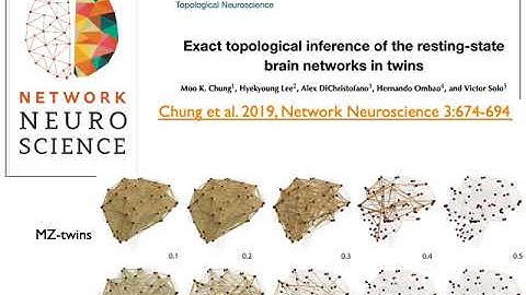 Topological Data Analysis of Dynamically Changing Brain Networks