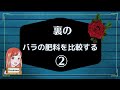 【裏の】バラの肥料を比較する②～バラ専用に作られた堆肥の力が目に見えて分かった!!