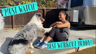 Workout at home with my DOG!! by Raising Up Aussies 529 views 3 years ago 3 minutes, 22 seconds