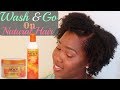 Cantu Defined Wash and Go on Natural Hair