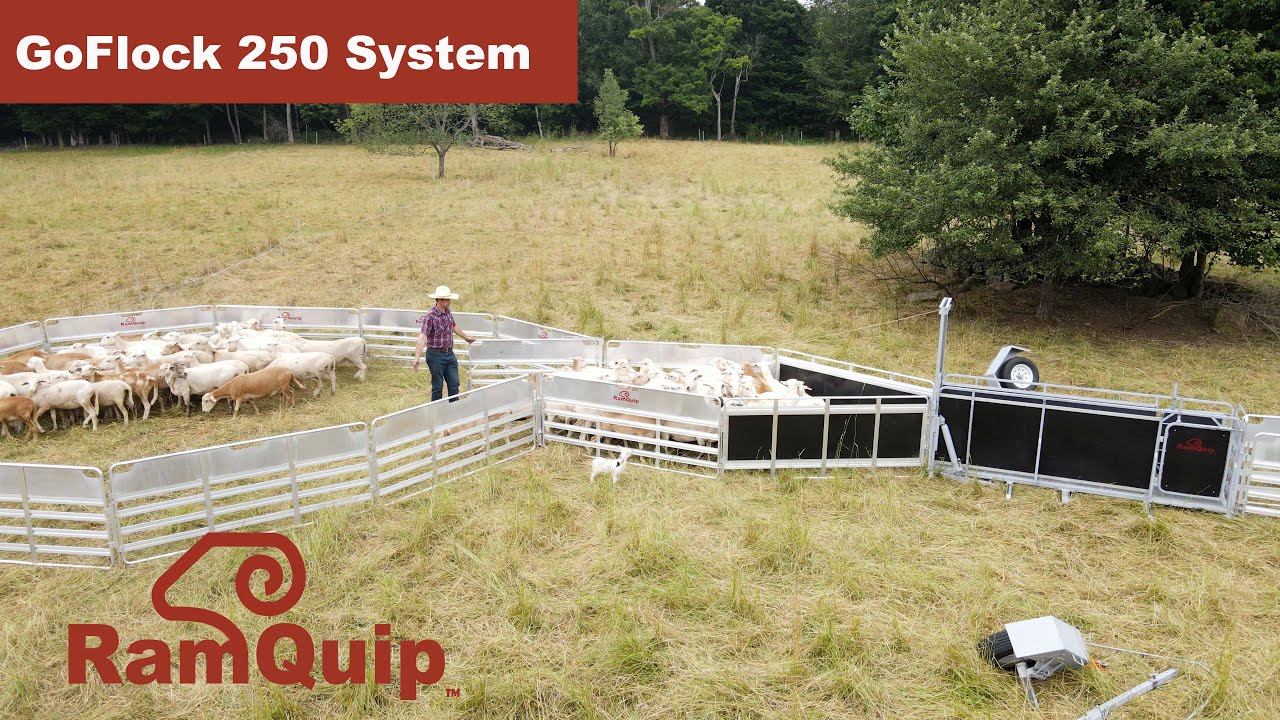 RamQuip GoFlock 250 Introduction