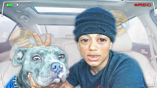 HOTBOXING MY NEW CAR WITH MY DOG 😂💨 *HILARIOUS*