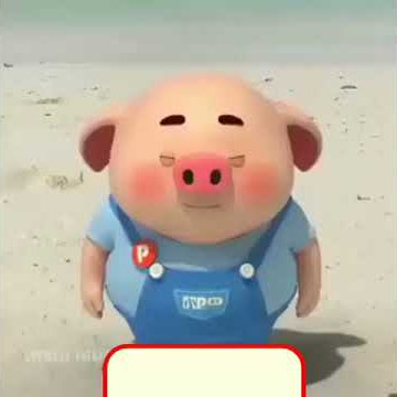 Babi lucu bang becak