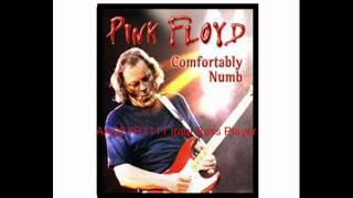 Video thumbnail of "Pink Floyd - Comfortably Numb  Bass Backing Track"