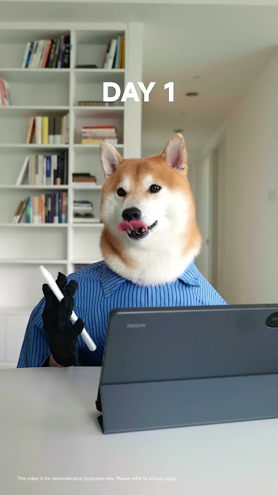 POV: A Shiba unboxes your dream weekend setup.