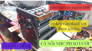 Báo giá máy kích cá k88.kéo cáp cá nổi như phao.giá giật mình