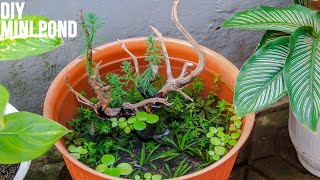 Simple DIY Mini Pond for Guppies | Patio Pond | No Filter