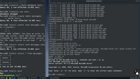 Sysadmin : Chiffrer les échanges SQL de MariaDB avec une couche SSL