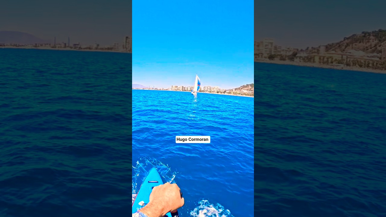 Windy sailing navegando #youtubeshorts #shorts
