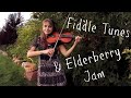 Father Kelly + Mountain Road + Musical Priest - Irish Fiddle ~ Making Elderberry Jam! | Katy Adelson