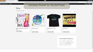 a100310: WooCommerce: Use a WooTheme or Other Theme