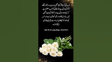 Surat No 3 : سورة آل عمران - Ayat No 36