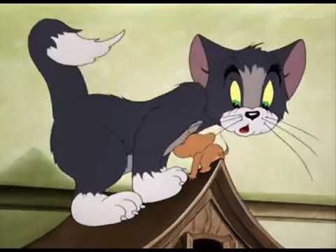 Punnara thene nin  Tom  Jerry  Whatsapp Status  Malayalam 