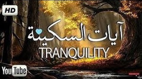 أخشع صوت بِالكُره الأرضيه جمال التجويد لا يتوقف للشيخ المنشاوي جودة عالية HD