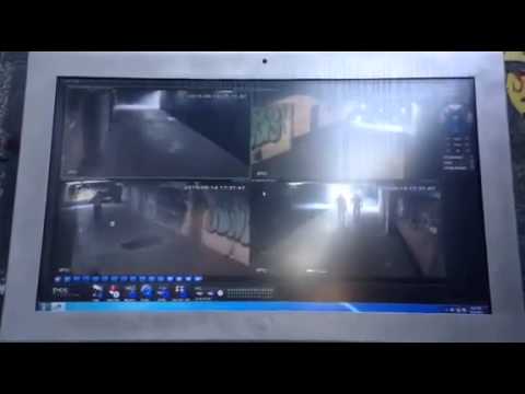 თბილისის ქუჩებში \"ჯუმანჯიდან\" გადმოსული მონადირე გამოჩნდა