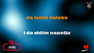 Ptičica - Karaoke version with lyrics