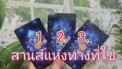 #guideline #freewill สานส์แห่งทางที่ใช่