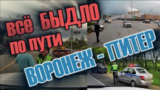 Всё Быдло С Поездки Воронеж-Питер И Обратно. Выпуск 71 Лето 2025