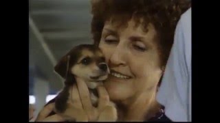 Rescue 911 - Stinkys Sewer Save