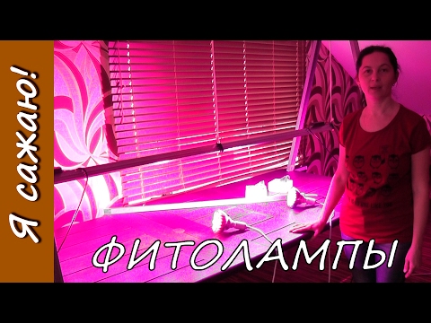 ФИТОЛАМПЫ для растений. Я сажаю.