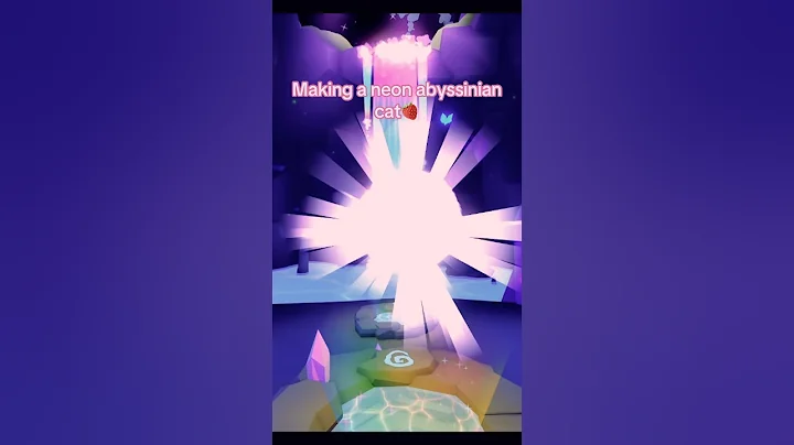 Video 11865121: abyssinian cat