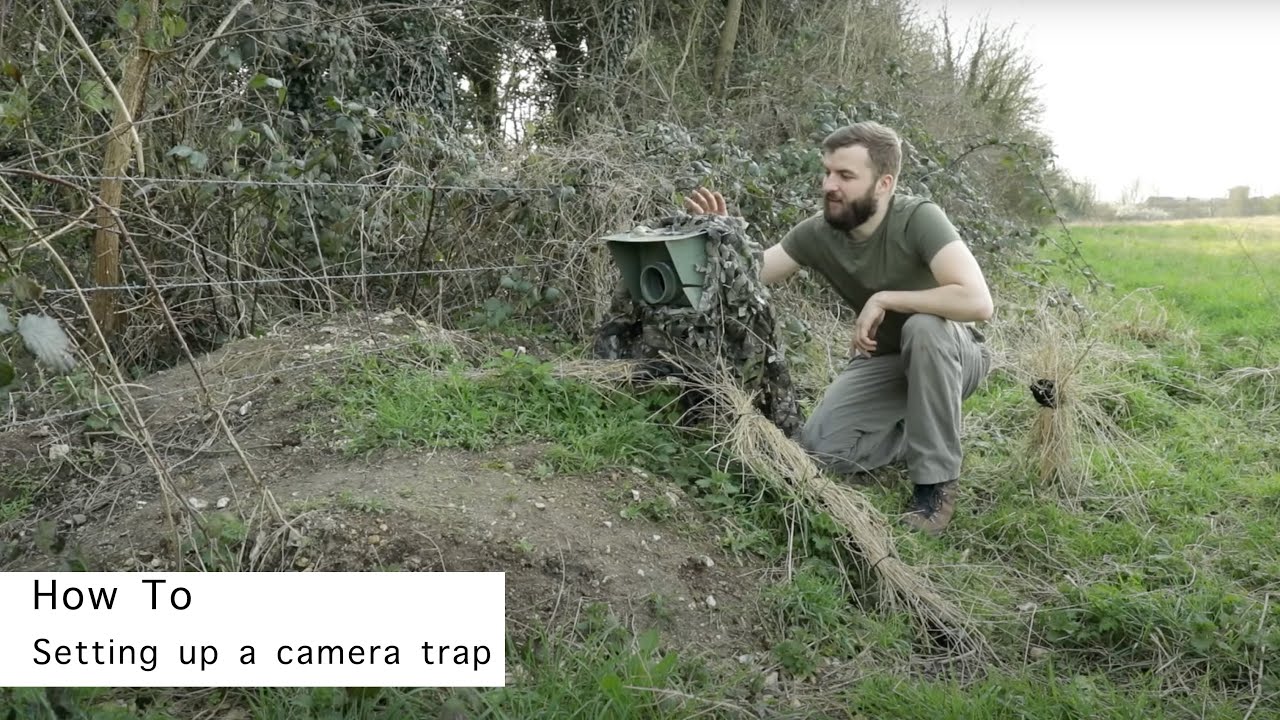Setting up a camera trap for badgers - YouTube