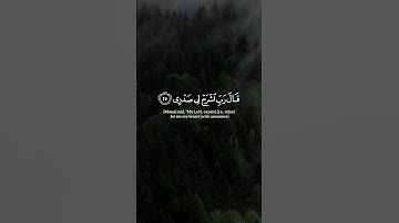 محمد أيوب | #سورة_طه #قرآن #القرآن_الكريم #قران_كريم #quran