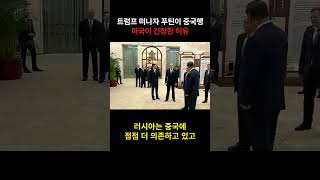 트럼프 떠나자마자 푸틴이 중국으로 간 이유  #테크뉴스 #mannalab