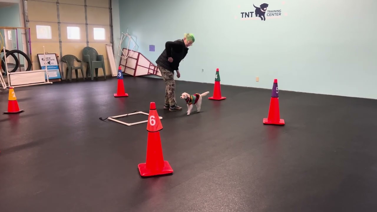 Biscuit Rally Class Feb 16/26