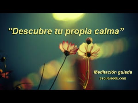 Vídeo: La Meditación Ayuda A Combatir El Estrés - Vista Alternativa